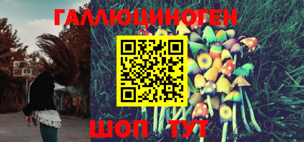 Псилоцибиновые грибы мухоморы  Вход с VPN  Гудермес 
