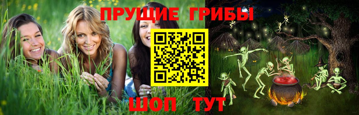 Галлюциногенные грибы Cubensis Гудермес